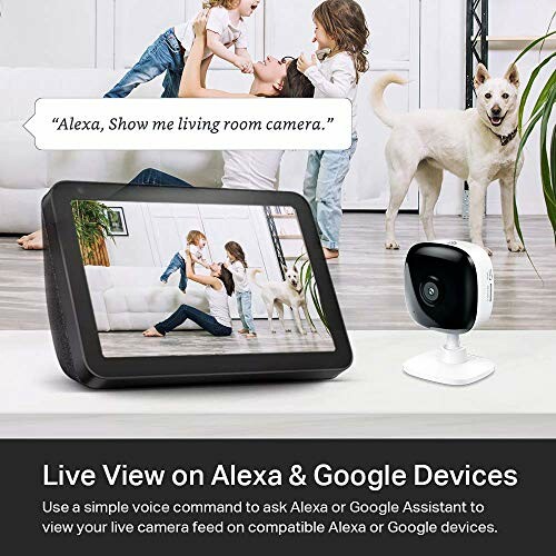 Smart home camera display showing a family and dog in the living room.